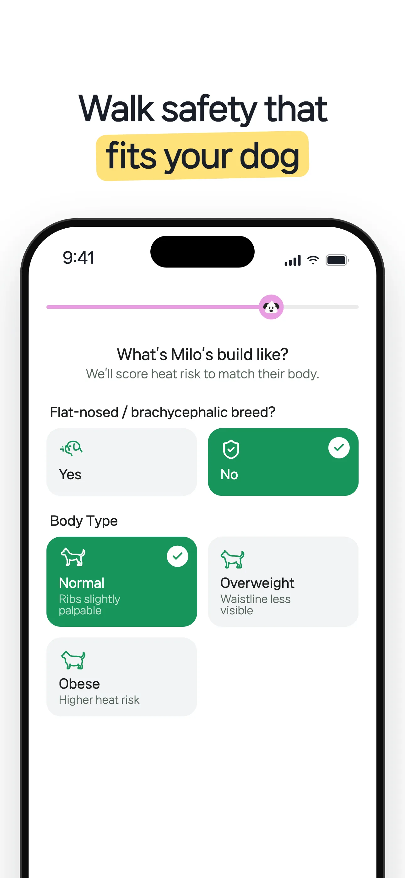 Walk safety that fits your dog