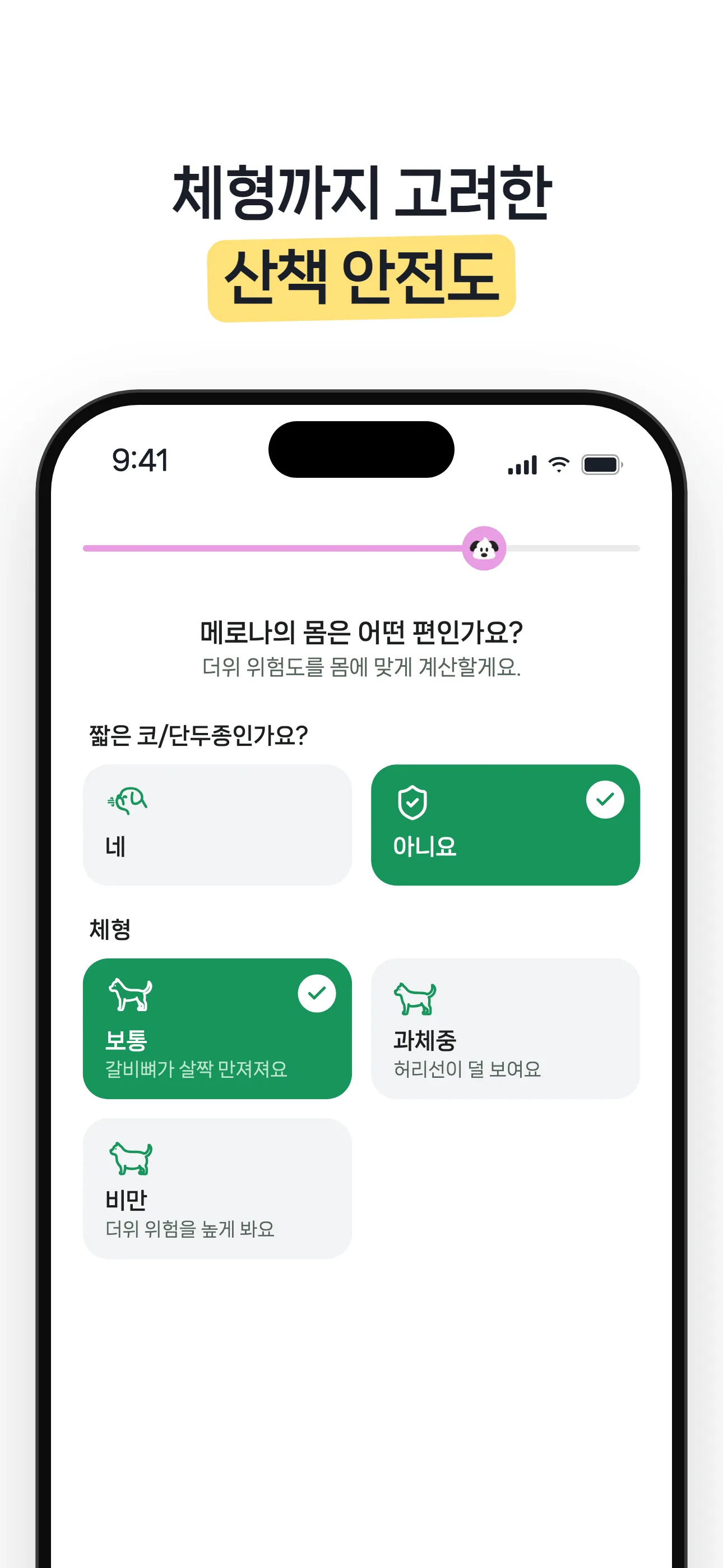 체형까지 고려한 산책 안전도